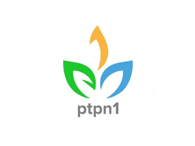 PTPN I
