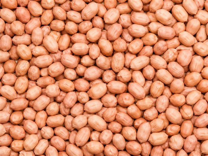 Kacang Tanah