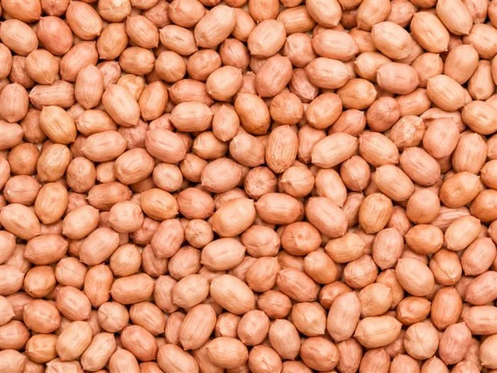 Kacang Tanah dalam karung